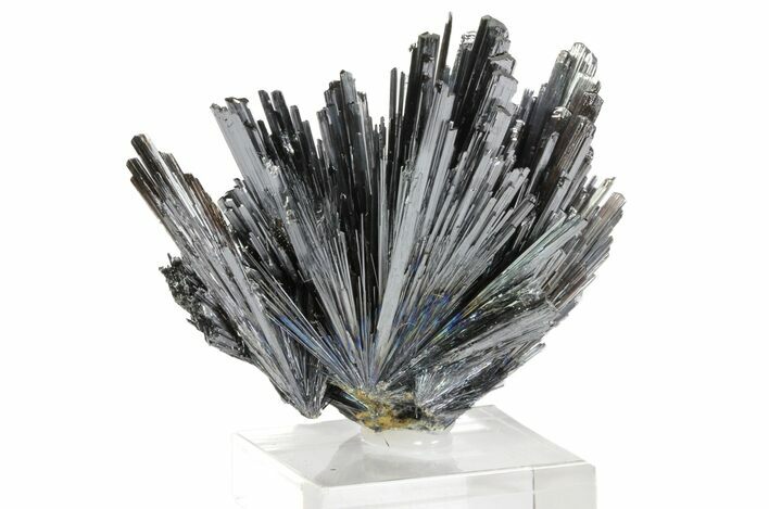 Metallic Stibnite Spray - Herja Mine, Romania #78853